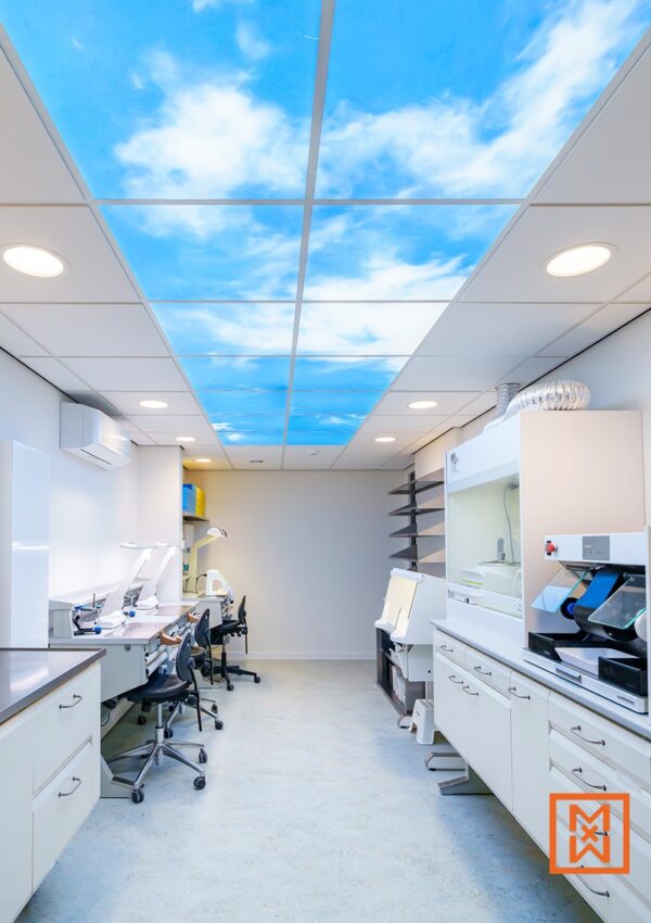 Moderne tandheelkundige laboratorium met een uniek ontwerp. De heldere, witte ruimte heeft een opvallend sky ceiling en moderne apparatuur. Een voorbeeld van innovatief design in een dental clinic.