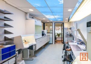 Strak en modern tandheelkundig laboratorium met heldere verlichting en een plafond met een blauwe lucht. De laboratorium inrichting omvat werktafels, kasten en apparatuur, perfect voor tandtechniek.